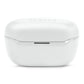 JBL Endurance Race 2 Noise Cancelling True Wirelss Sport Headphones (White)