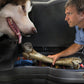 Husky Liners 04-08 Ford F-150 SuperCrew Cab Husky GearBox