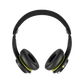 Icon® ANC