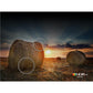 Samsung 85" Q60D QLED 4K Smart TV