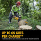 DEWALT (DCCS672X1 60V FLEXVOLT 18" Brushless Chainsaw, Yellow/Black [LOCAL PICKUP ONLY]