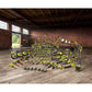 18-Volt ONE+ Cordless 5 in. Random Orbit Sander (Tool-Only)