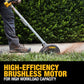 DEWALT DEWALT 20V MAX Brushless Cordless Edger (DCED400M1)