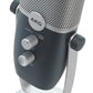 AKG Ara C22-USB 2-Pattern USB Condenser Microphone