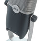 AKG Ara C22-USB 2-Pattern USB Condenser Microphone