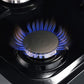 FORNO Massimo 48″ 6.58 cu. ft. Freestanding Dual Fuel Range with 8 Burners, FFSGS6125-48