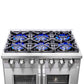 FORNO Capriasca 36" 5.36 cu. ft. Professional Gas Range with French Door and 6 Sealed Burners, FFSGS6460-36