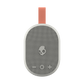 Bone