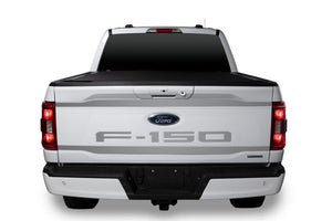 2pcs Upper/Lower Tailgate Accent 21-24 Ford F-150