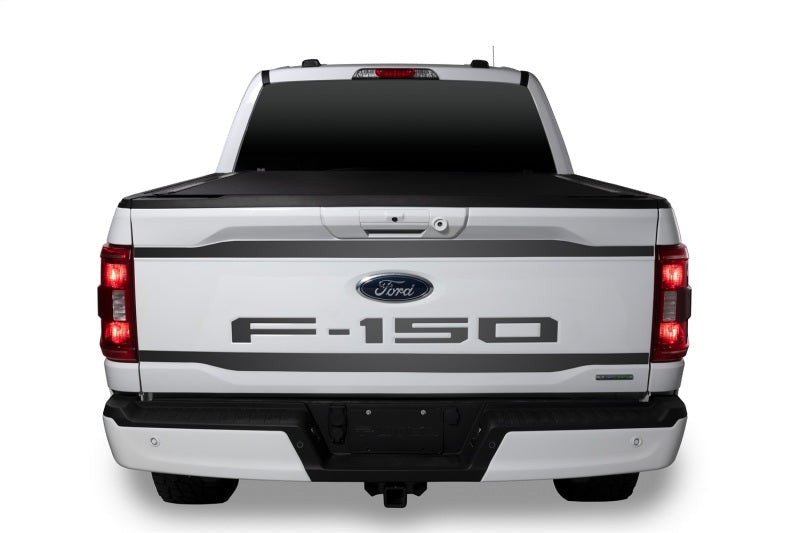 Tailgate Emblems 21-24 Ford F-150 Premium Lettering Kit