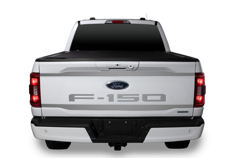 Tailgate Emblems 21-24 Ford F-150 Custom Lettering Kit