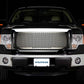 Punch Grille Insert 09-12 Ford F-150 Custom Fit Accessory