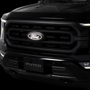 Ford Logo Light Up LED Emblem Kit 15-20 Ford F-150