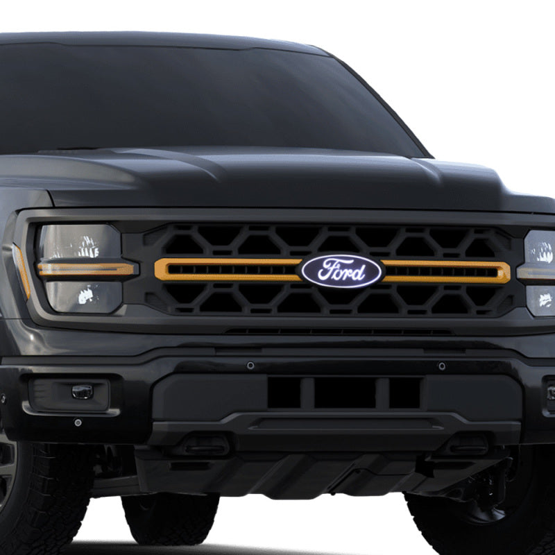 Front Emblem W/ Camera Cutout 2024 Ford F-150 Upgrade