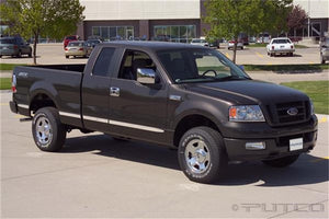 Billet Aluminum Body Side Molding 04-08 Ford F-150