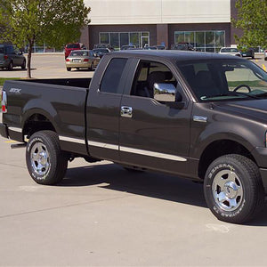 Billet Aluminum Body Side Molding 04-08 Ford F-150