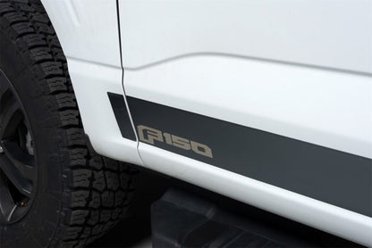 12pc Ford Licensed Rocker Panels 21-24 Ford F-150