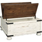 Rosa Storage Coffee Table