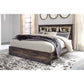 Drystan 4 Drawer Bookcase Storage Bed