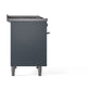 ILVE 40-inch Professional Plus II Dual Fuel Range with Solid Door Oven in Blue Grey (UPD40FQMPBG)