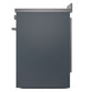 ILVE Professional Plus II 30-Inch Induction Range in Blue Grey (UPI304WMPBG)