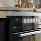 ILVE Professional Plus II 40-Inch Freestanding Dual Fuel Range with 6 Sealed Burner in Stainless Steel (UPD40FWMPSS)