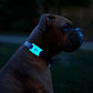 AirTag Case for Dog Collars 2 Pack (Black/Glow-in-the-Dark) - AirTag Case