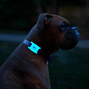 AirTag Case for Dog Collars 2 Pack (Black/Glow-in-the-Dark) - AirTag Case