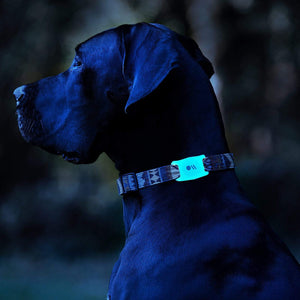 AirTag Case for Dog Collars (Glow in the Dark) - AirTag Case