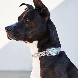 Rifle Paper Co. AirTag Case for Dog Collars (Garden Party Blue) - AirTag Case