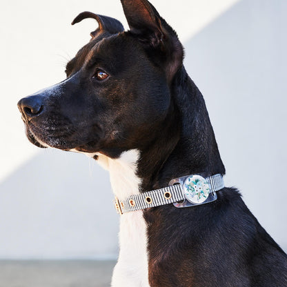 Rifle Paper Co. AirTag Case for Dog Collars (Garden Party Blue) - AirTag Case