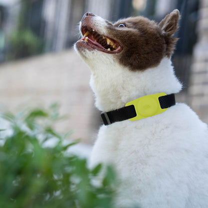 AirTag Case for Dog Collars (Lime Green) - AirTag Case
