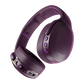 Midnight Plum
