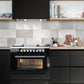ILVE Professional Plus II 36-Inch Freestanding Dual Fuel Range with 6 Sealed Burner in Custom RAL (UP36FWMPRA)