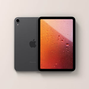 iPad mini (A17 Pro) 256GB (Unlocked)