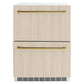 ZLINE Autograph Edition 24 in. Touchstone 168 Can Outdoor-Rated Dual Refrigerator Drawer with Panel-Ready Doors and Polished Gold Handles (RDSPOZ-24-G)