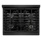 ZLINE 30 in. Paramount Gas Rangetop with 4 Burners and Porcelain Cooktop in Black Stainless Steel (SRTB-30)