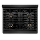ZLINE 30 in. 4.2 cu. ft. Paramount Dual Fuel Range with Gas Cooktop and Electric Convection Oven in Black Stainless Steel with 4 Brass Burners (SDRB-BR-30)