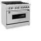 ZLINE 36 in. 4.6 cu. ft. Legacy Dual Fuel Range with Gas Cooktop and Electric Convection Oven in Stainless Steel with 6 Brass Burners (RA-BR-36)
