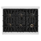 ZLINE 36 in. 5.2 cu. ft. Select Dual Fuel Range with Gas Cooktop and Electric Convection Oven in DuraSnow® Stainless Steel with 6 Brass Burners (HDRS-BR-36)