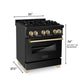 ZLINE Autograph Edition 30 in. Kitchen Package with Black Stainless Steel Dual Fuel Range, Range Hood, Dishwasher, and Refrigerator with External Water Dispenser with Polished Gold Accents (4AKPR-RABRHDWV30-G)
