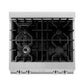 ZLINE 30 in. Legacy Gas Rangetop with 4 Burners and Porcelain Cooktop in DuraSnow® Stainless Steel (RTS-30)